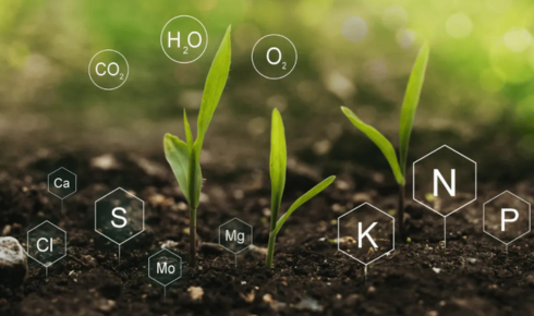 Chelated micronutrients